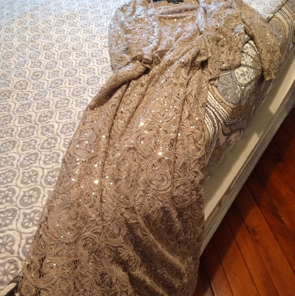 Alex Evenings Maxi Formal Lace with Sequins. Champagne Color - Picture 4 of 4
